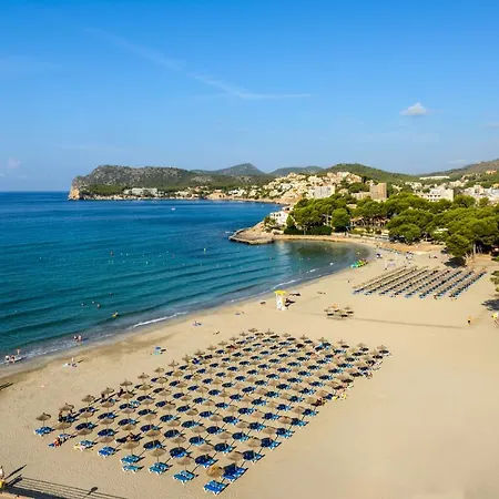 Vibra Beverly Playa パゲラ